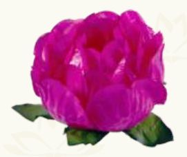 Forma Decora Doces Bela Pink 40 Unidades