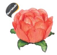 Forma Bela Coral 40 Unidades