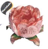 Forma Bela Rose Gold 40 Unidades