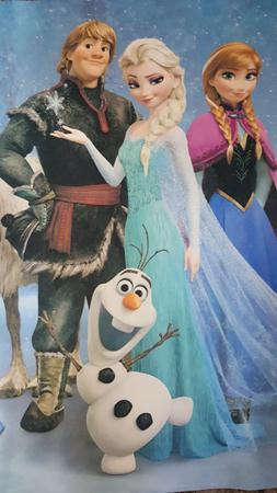 Kit Painel Frozen 110x97cm