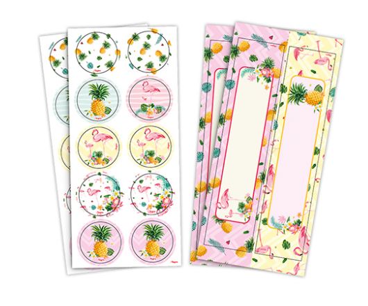 Adesivo Retangular e Redondo Flamingo 03 cartelas