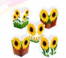 Cachepot Girassol 10 unidades