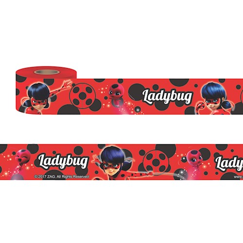 Fita Cetim Ladybug 25mmx5m