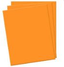 Placa Eva 40x60 Laranja Unidade