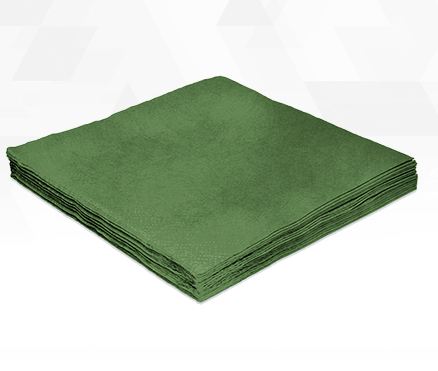 Guardanapo 25x25cm Verde 20 Unidades