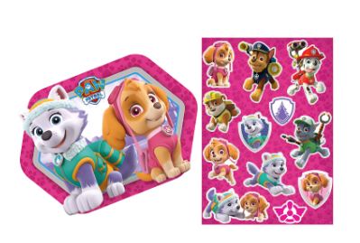 Painel Kit Decorativo Patrulha Canina Rosa Skye e Everest 02 placas 48x66cm