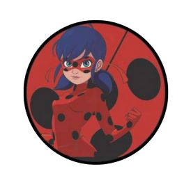 Painel Redondo LadyBug em TNT 1m
