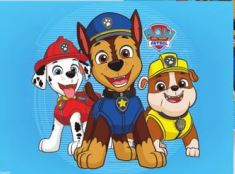 Painel Tnt Patrulha Canina Marshall Unidade