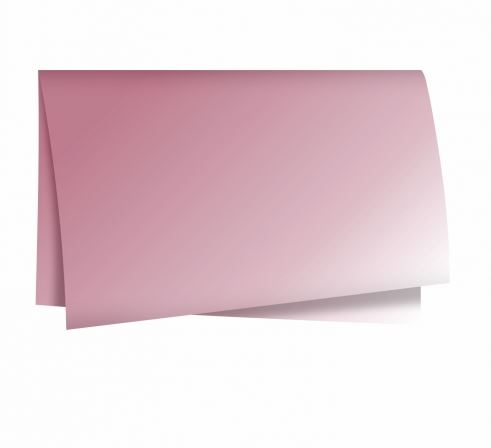 Papel Kraft 49x69 Male Rose Unidade