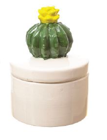 Porta Jia Cacto Verde Amarelo Unidade