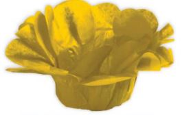 Forminha Sweet B Seda Dourado 24 Unidades
