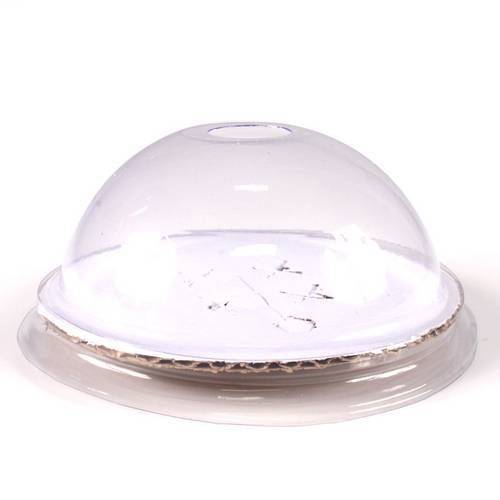 Suporte Meia Lua Porta Balo Crystal 10 Unidades