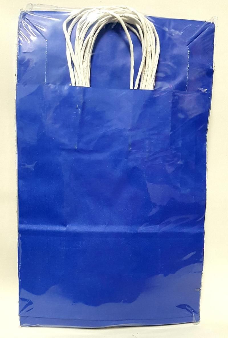 Sacola Papel 14 x 08 x 16 cm Azul Bic 10 Unidades